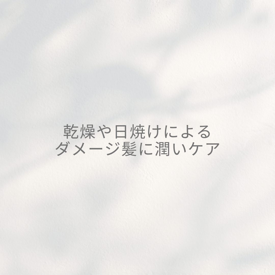 乾燥や日焼けによるダメージ髪に潤いケア