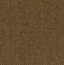 RAW UMBER