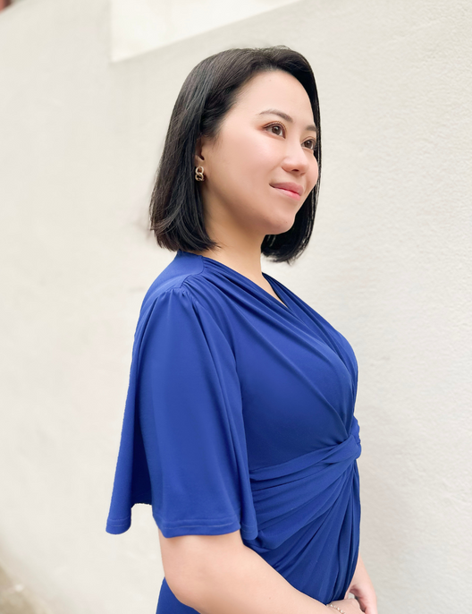 Holiday dress (flare sleeve)