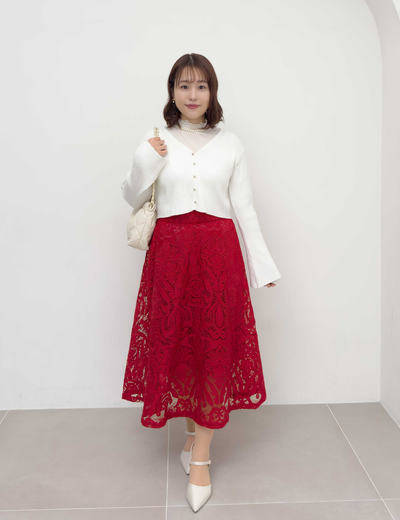 Sheer Lace Skirt