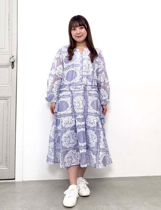 Real Free Sheer Fully Embroidered One-Piece Dress