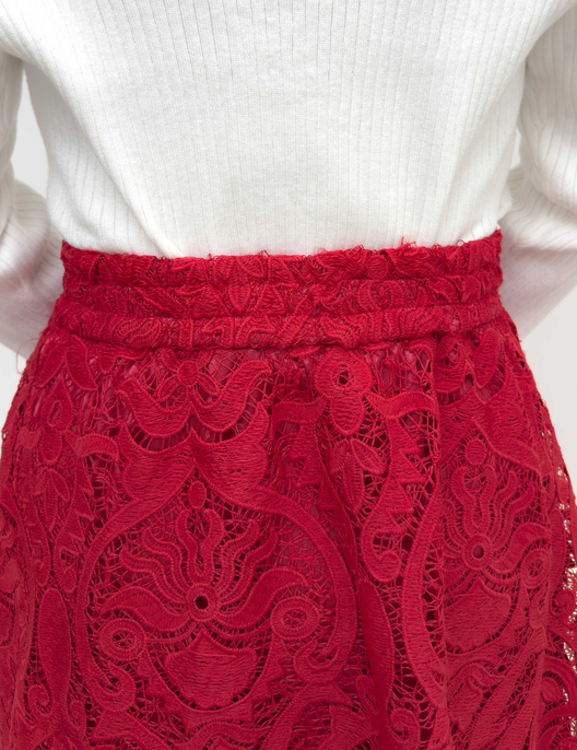 Sheer Lace Skirt
