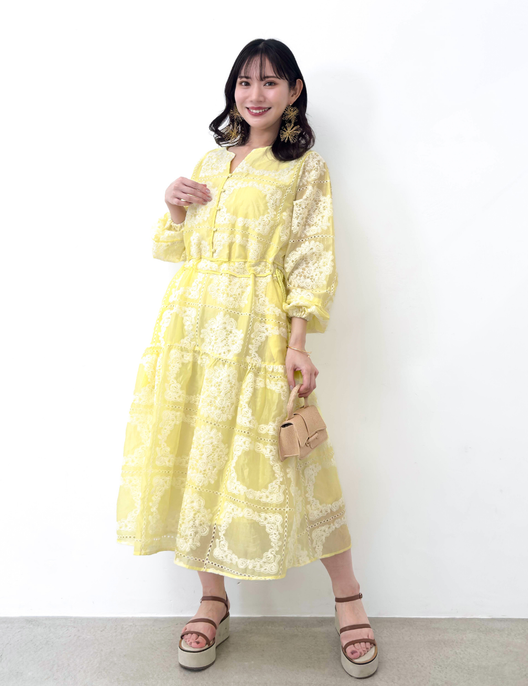 Real Free Sheer Fully Embroidered One-Piece Dress