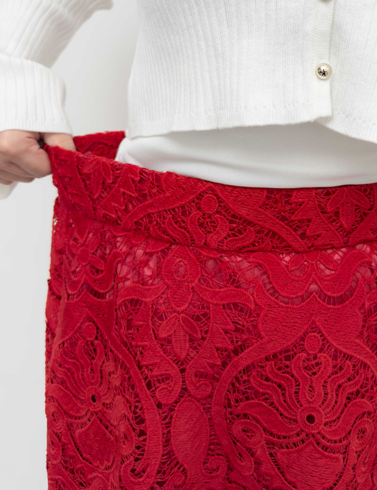 Sheer Lace Skirt