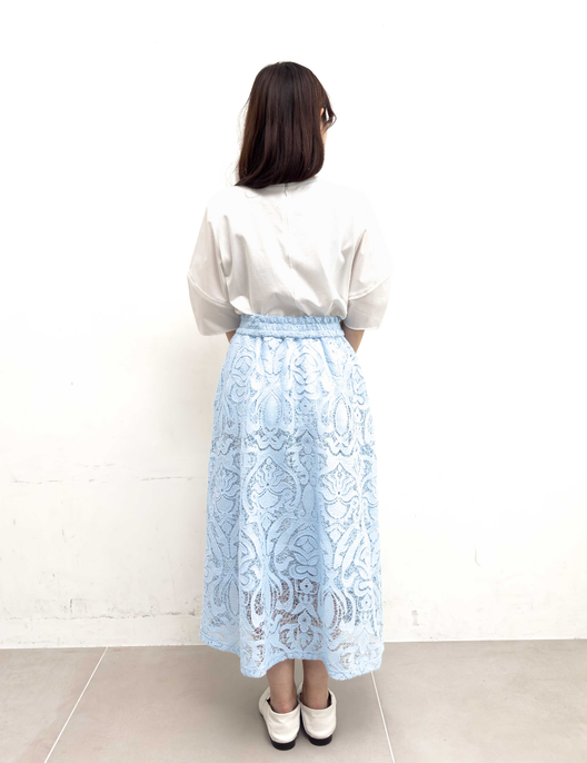 Sheer Lace Skirt