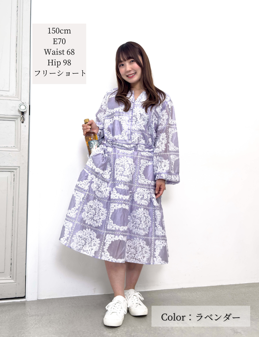 Real Free Sheer Fully Embroidered One-Piece Dress
