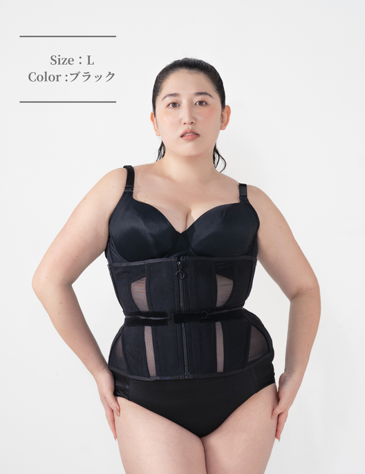 新2026日本製　Venus（ヴィーナス）