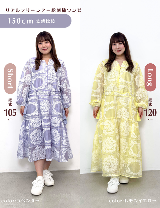 Real Free Sheer Fully Embroidered One-Piece Dress