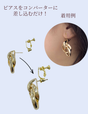 Earring Converter