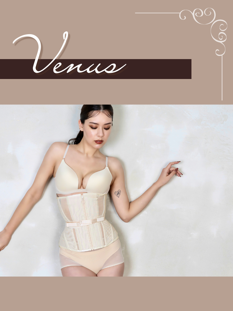 元鈴木さん pinup closet コルセット Venus グレージュ L Venus 元鈴木さん pinup closet コルセット Venus グレージュ L Venus